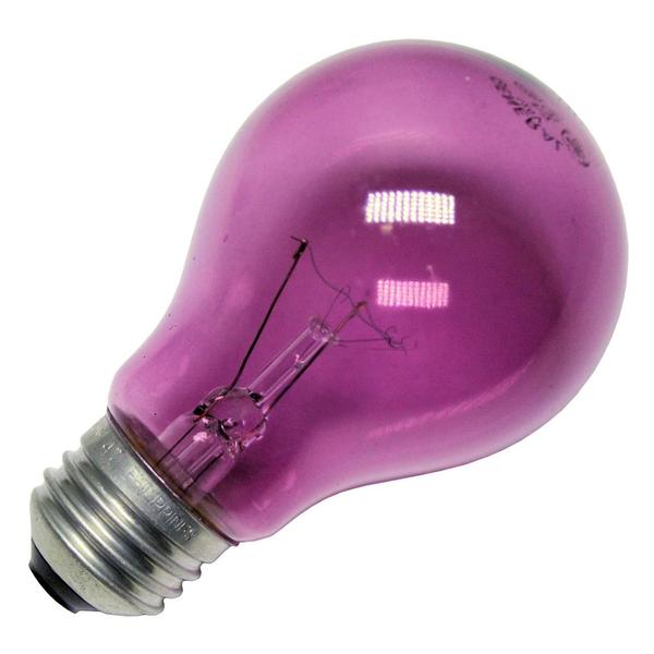 Glow Purple for ArtWeek