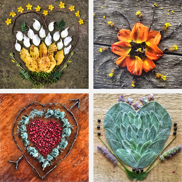 Capturing Ephemeral Beauty with Meredith Brower