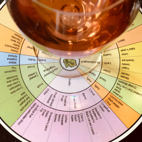 March Wine Salon: Wine Tasting and Brain Health