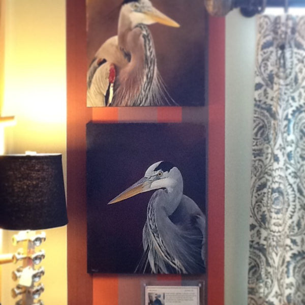 Original Oil Paintings by Christy Gunnels LaGue