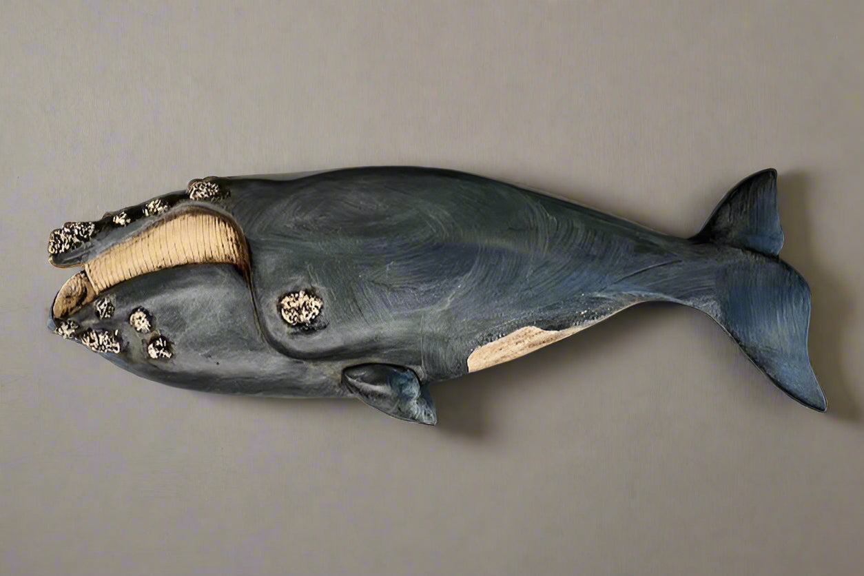 Right Whale Plaque, 24