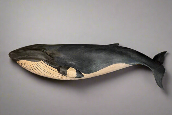 Minke Whale Plaque, 34", Left-Facing