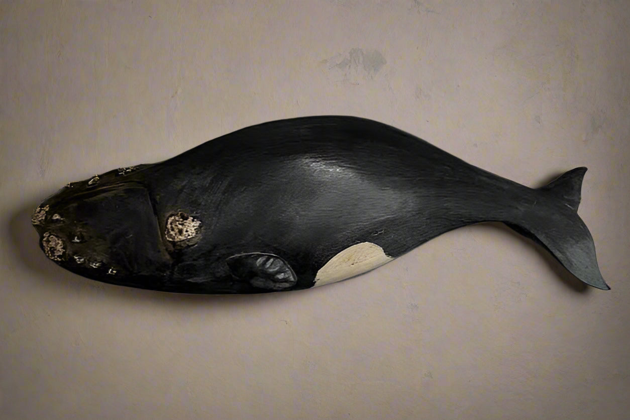 Right Whale Plaque, 24