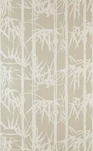 Farrow & Ball Bamboo BP 2109