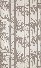 Farrow & Ball Bamboo BP 2111