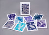 Art Greeting Card Sets of 8 by Lisa Houck