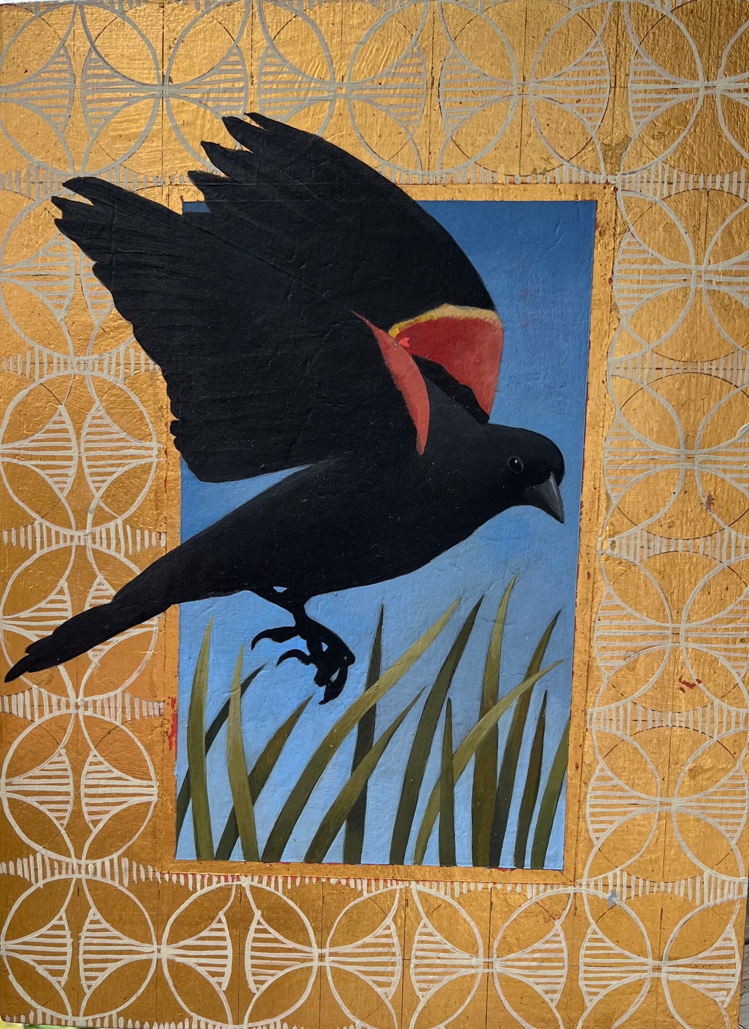 Redwinged Blackbird
