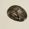Abalone Shell Bottle Opener