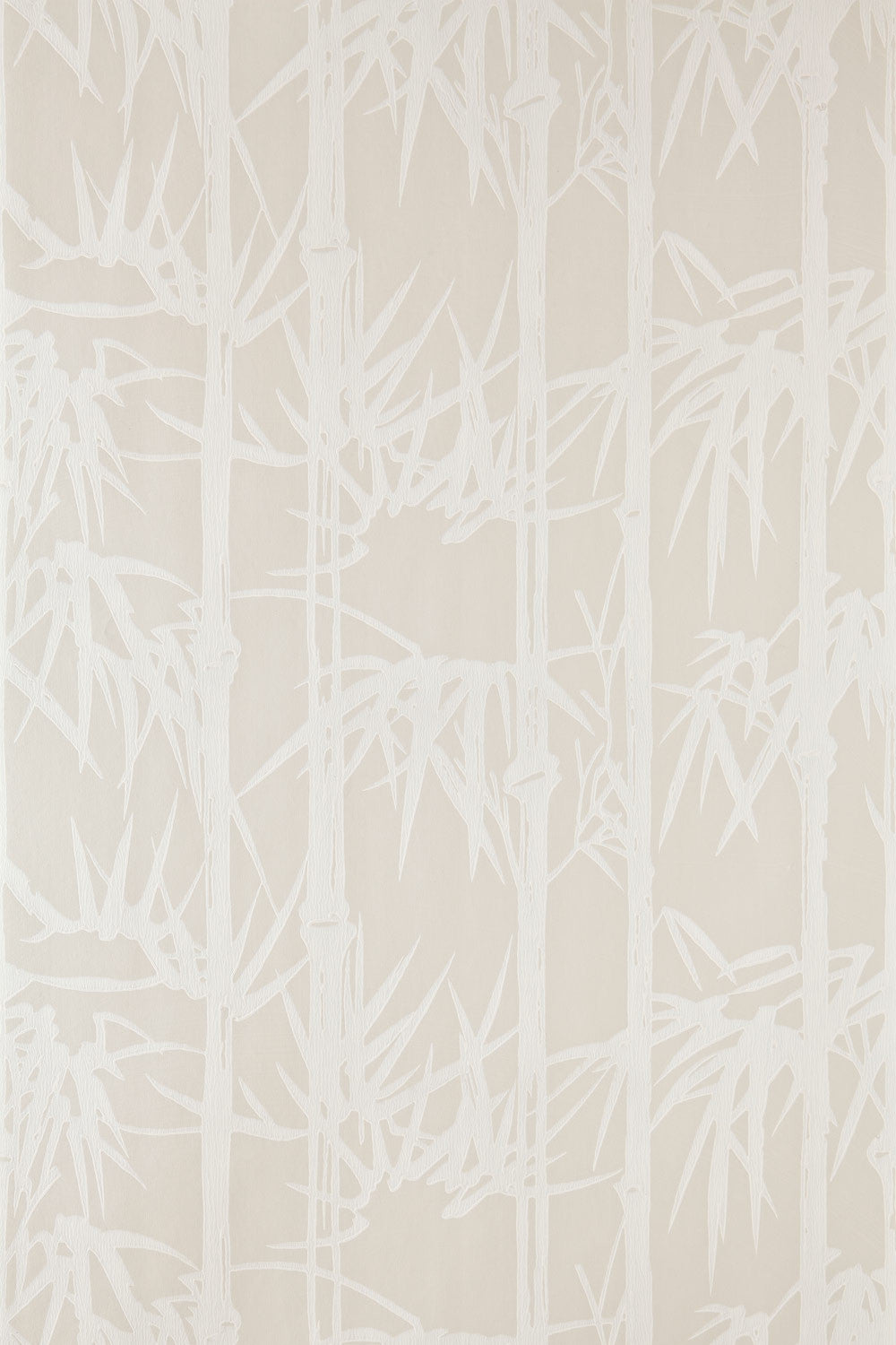 bamboo bp 2107