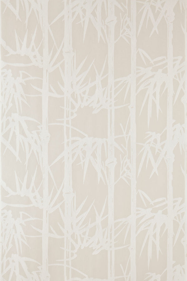 bamboo bp 2107