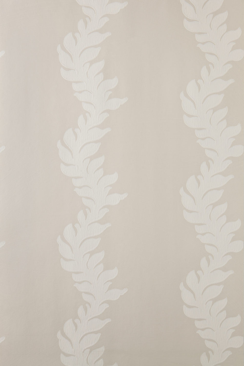 acanthus bp 2701