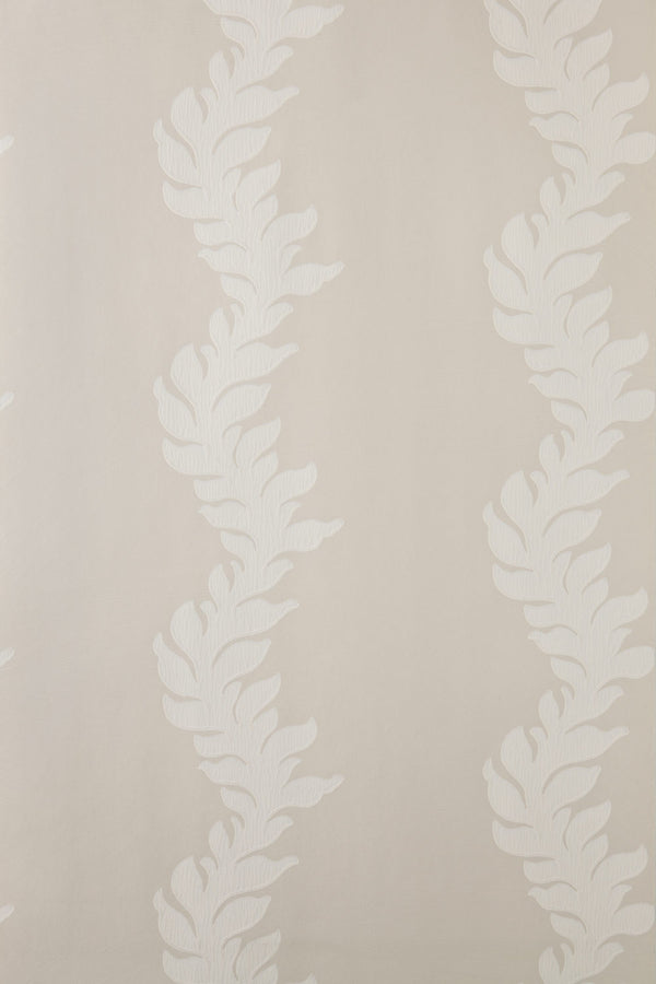 acanthus bp 2701