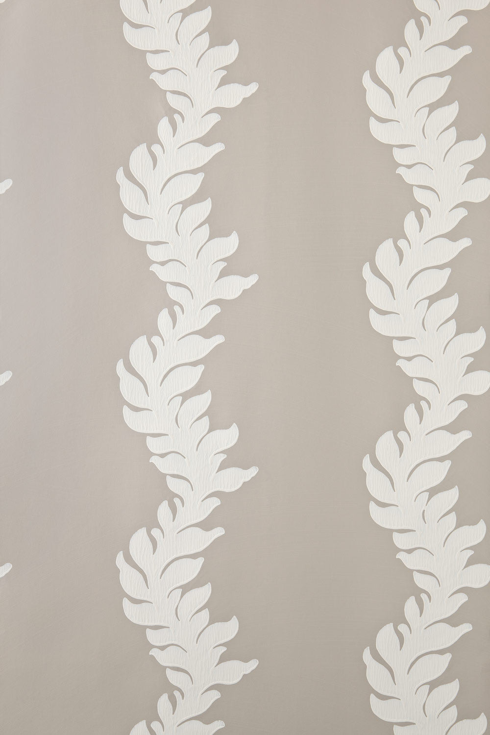 acanthus bp 2702