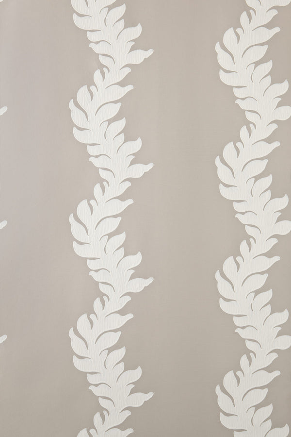 acanthus bp 2702