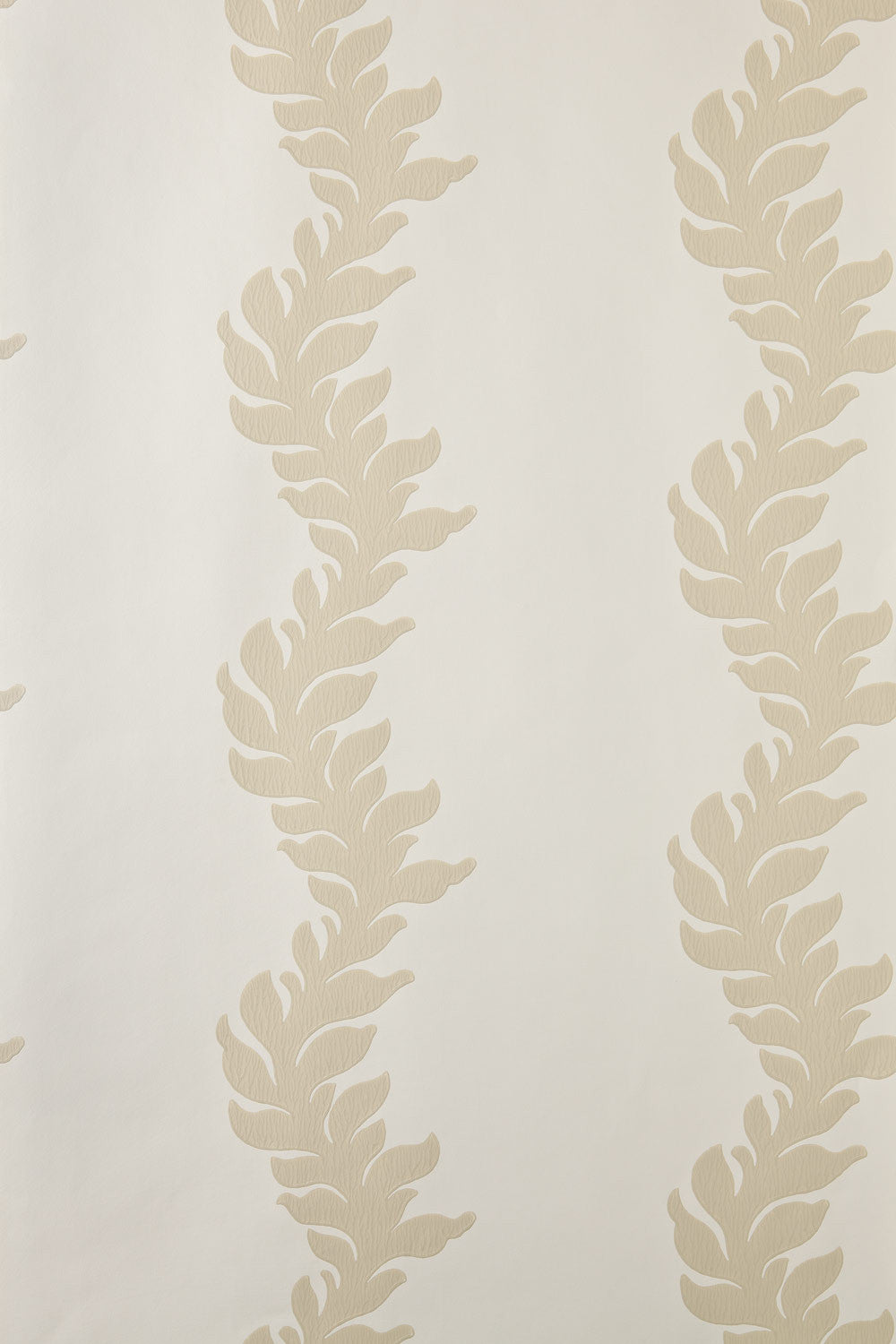 acanthus bp 2704