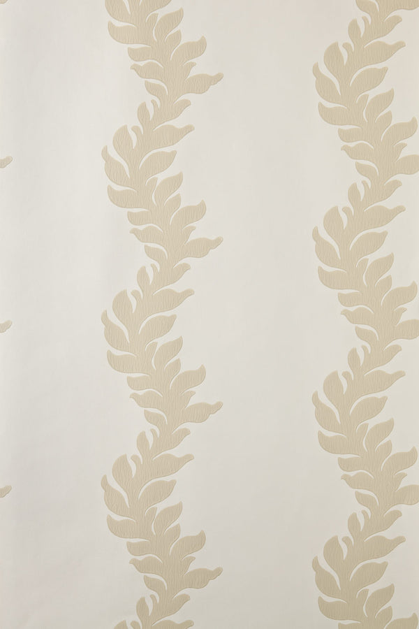 acanthus bp 2704
