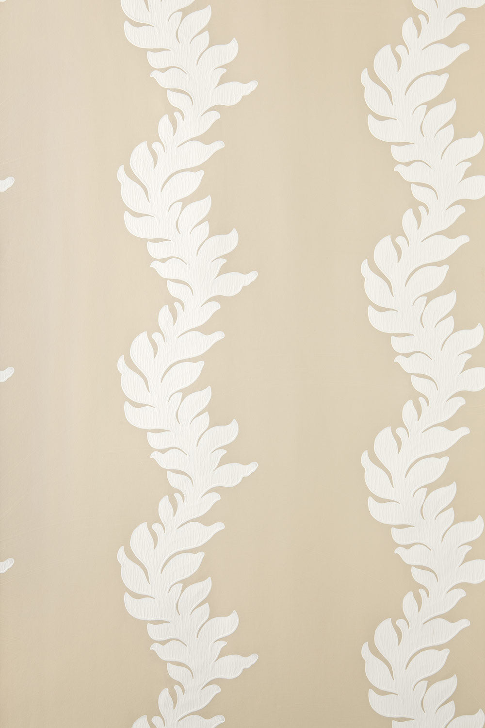 acanthus bp 2705