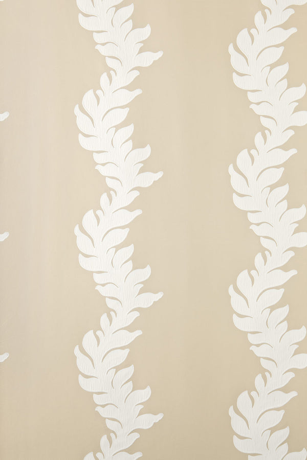 acanthus bp 2705