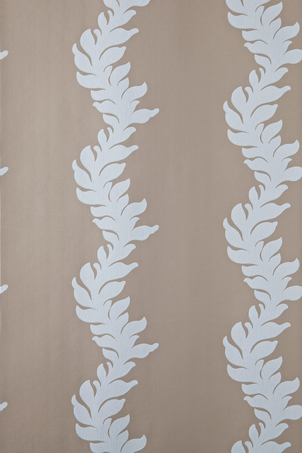 acanthus bp 2719