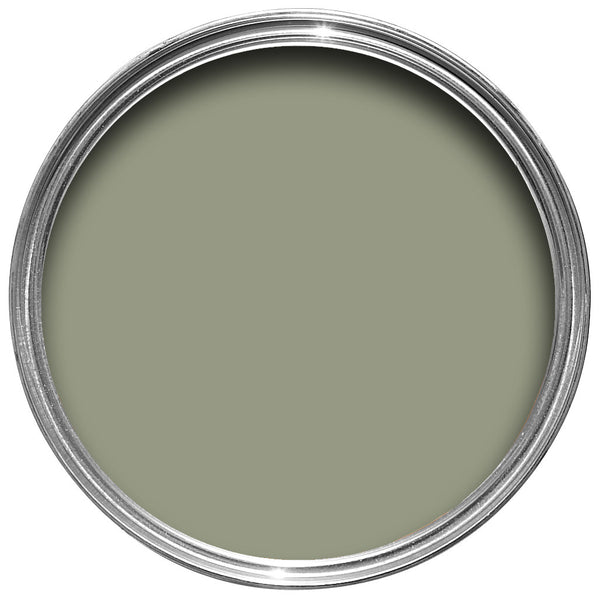 lichen no. 19-2