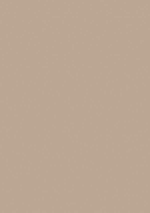 Farrow & Ball Smoked Trout No. 60