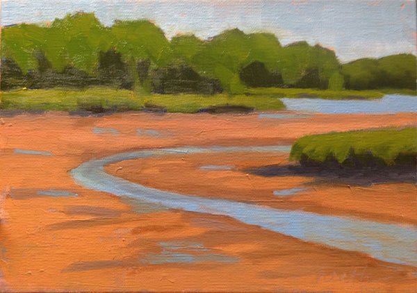 Cove Road Low Tide