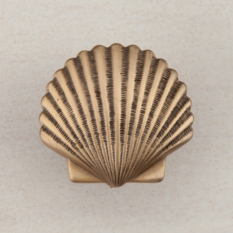 Small Scallop Cabinet Knob