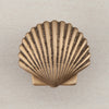 Small Scallop Cabinet Knob