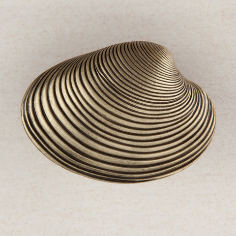Clam Shell Cabinet Knob