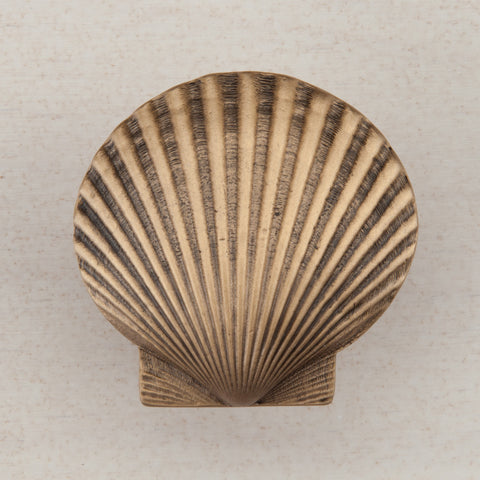 Large Scallop Cabinet Knob