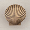 Large Scallop Cabinet Knob