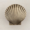 Large Scallop Cabinet Knob