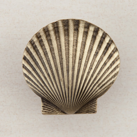 Large Scallop Cabinet Knob