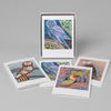 Art Greeting Card Sets of 8 by Lisa Houck