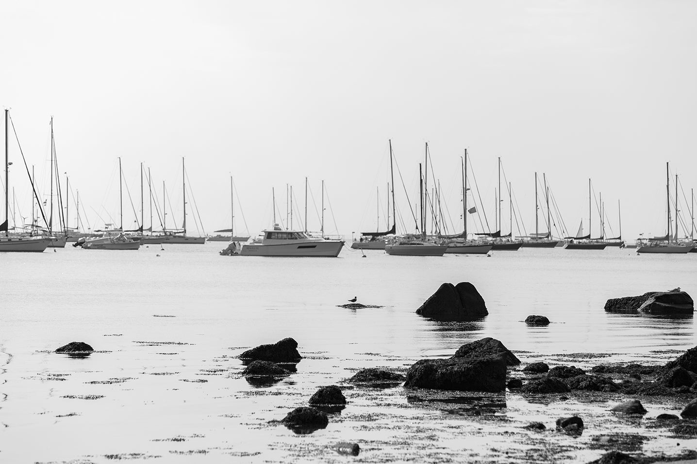 Morning Harbor No. 83 by Michael T Morris Photography