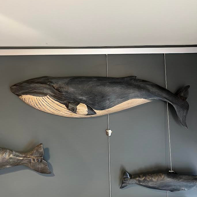 Minke Whale Plaque, 34