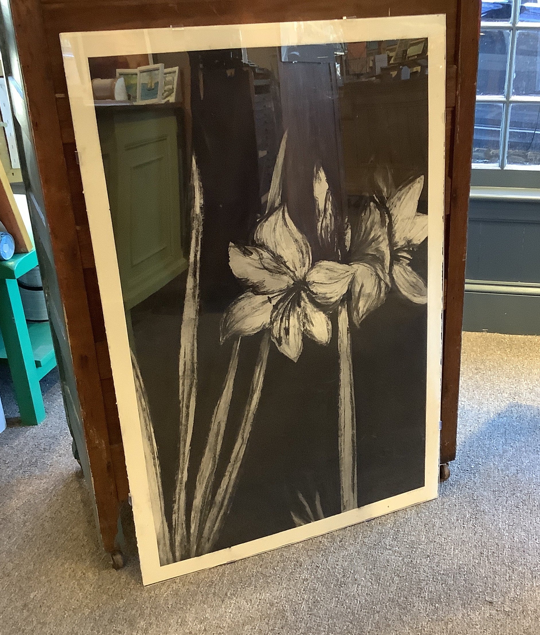 Amaryllis