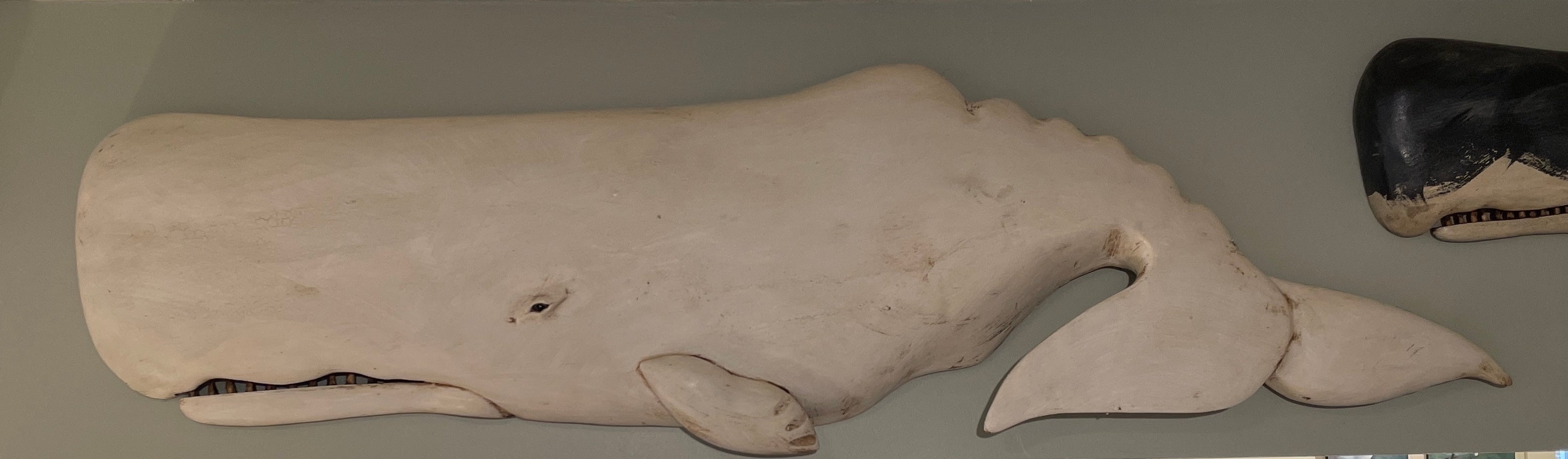 Moby White Sperm Whale Plaque