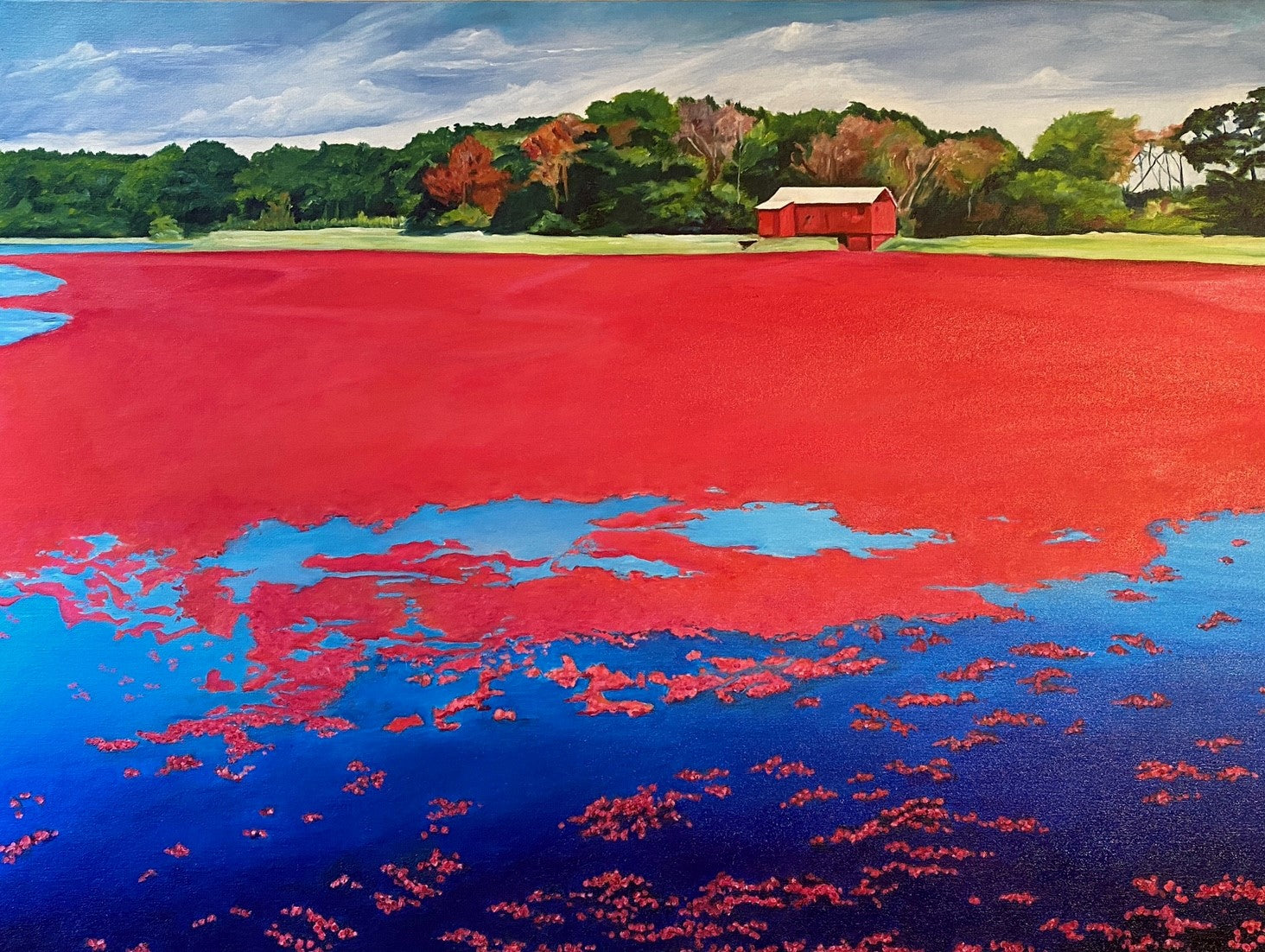 Cranberry Bog Harvest by Christy Gunnels