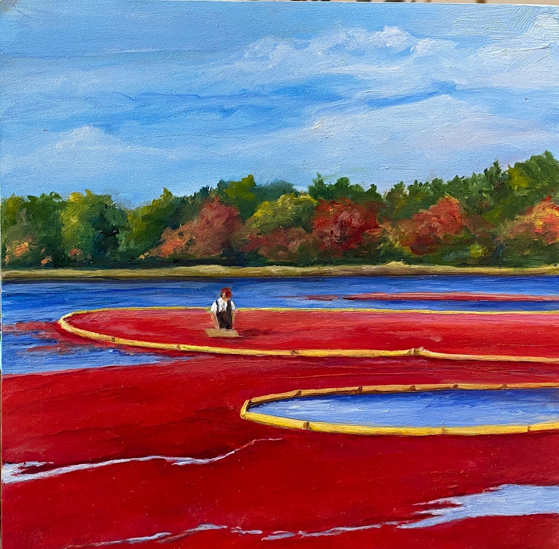Bog by Christy Gunnels