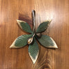 Buckeye Door Knocker