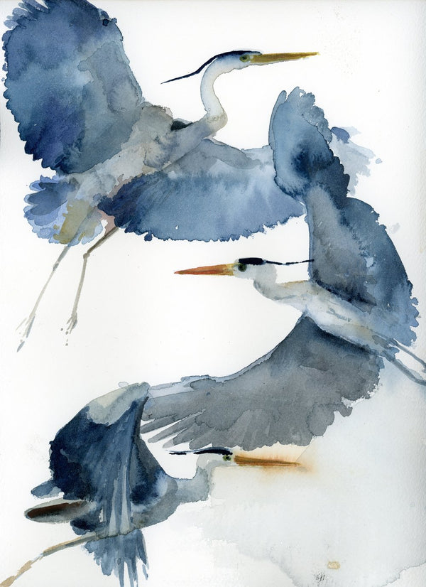 Great Blue Herons Greeting Card