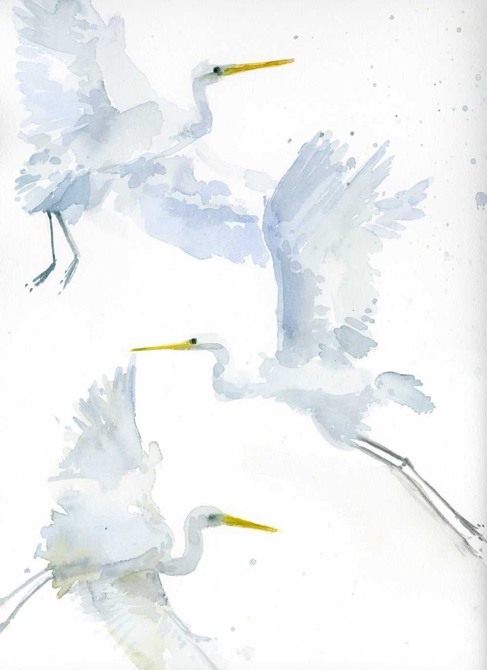 Snowy Egrets Greeting Card