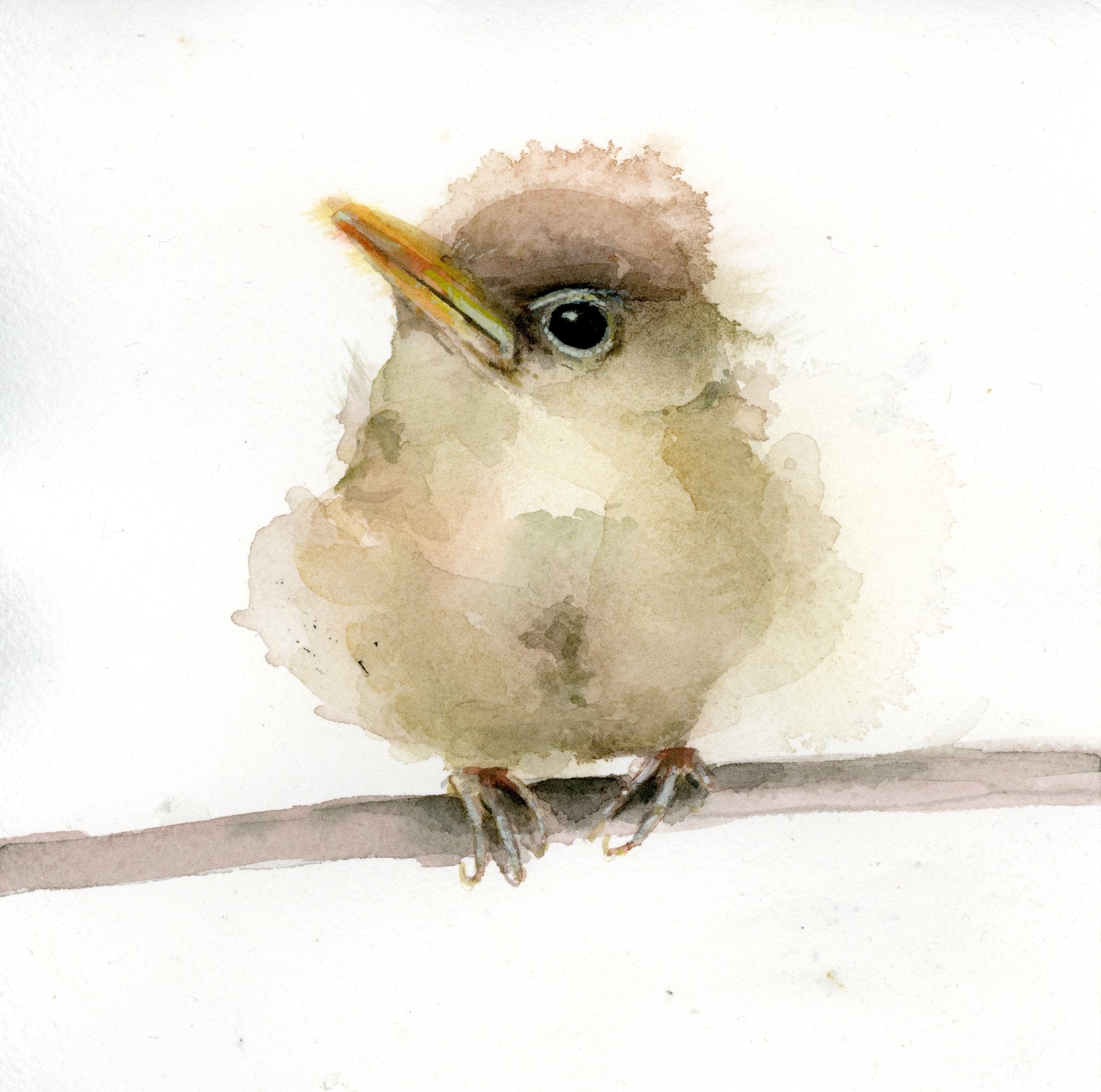 Fledgling Sparrow Greeting Card