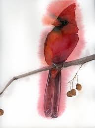 Proud Cardinal Greeting Card