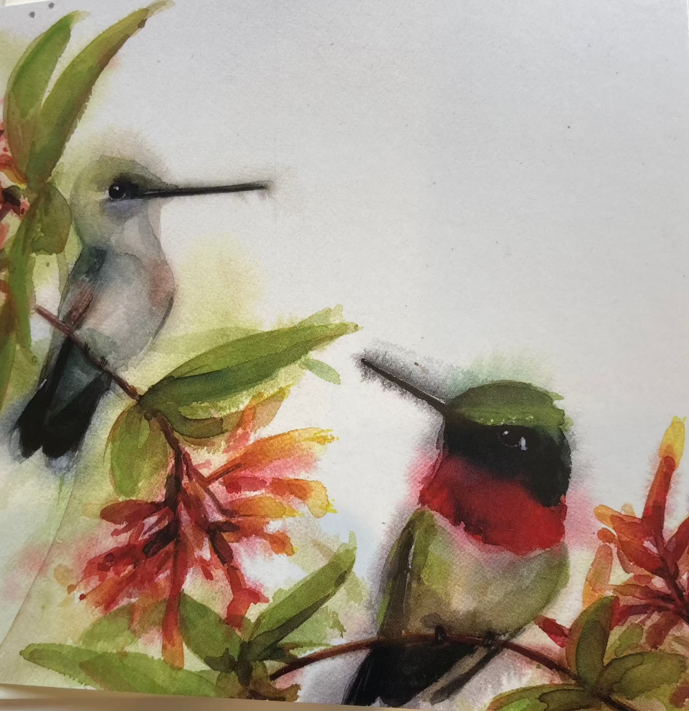 Ruby-Throated Hummingbirds Greeting Card