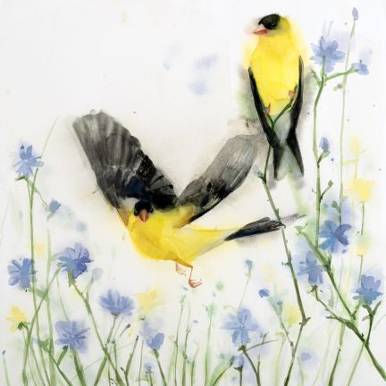 American Goldfinch Optimism by Holly Wach Art