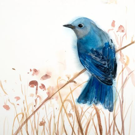 Eastern Bluebird Joy by Holly Wach Art