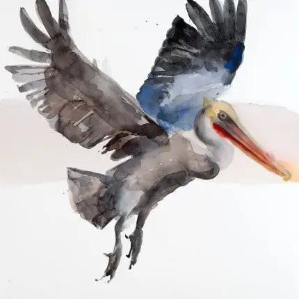 Fly Pelican Oh to Fly by Holly Wach Art