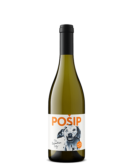 Dalmation Dog Posip
